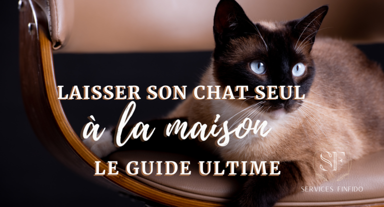 Laisser son chat seul à la maison – Soyez préparé