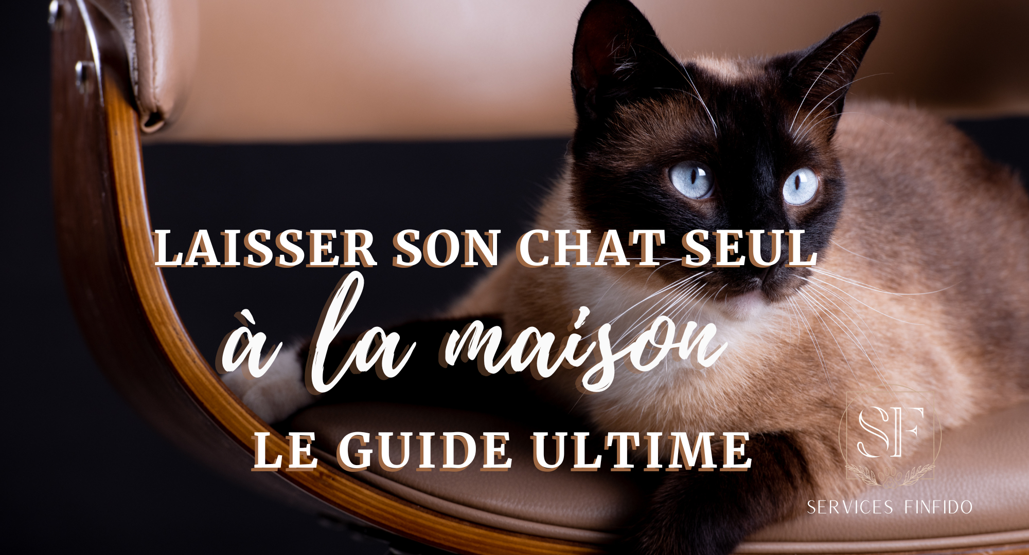 Laisser son chat seul à la maison - Le Guide Ultime